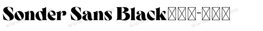Sonder Sans Black免费下字体转换